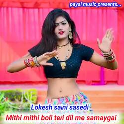 Mithi Mithi Boli Teri Dil Me Samaygai-SBk4AiN-WlY