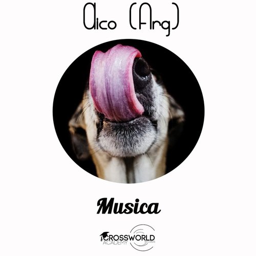 Musica (Dico's Deep Forest Remix) cover art