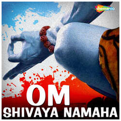 Shivaratri-SVhaSQBlemc