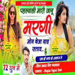 Pahlyali Mari Janu Margi Mon Beja Yad Satav