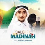Qalbi Fil Madina