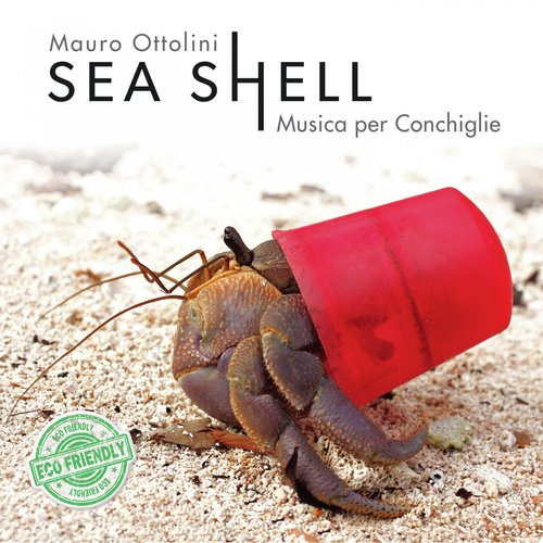 Sea Shell Musica per conchiglie_poster_image