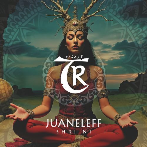 Shri Ni cover art