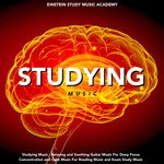 Music for Calm Study