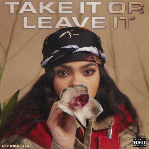 Take It Or Leave It_poster_image