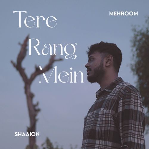 Tere Rang Mein