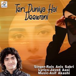Teri Duniya Hai Deewani
