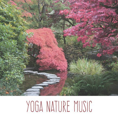 Sleep Sounds of Nature cover art