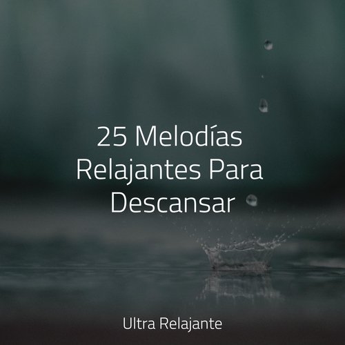 Ligereza Y Suavidad cover art