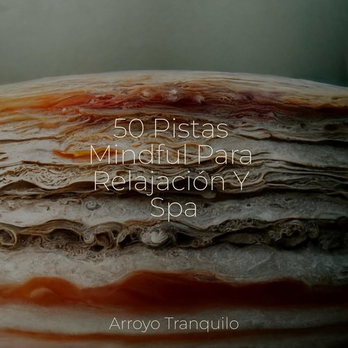 Río de Meditación cover art