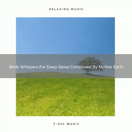 Birds Whispers For Deep Sleep Composed By Mother Earth