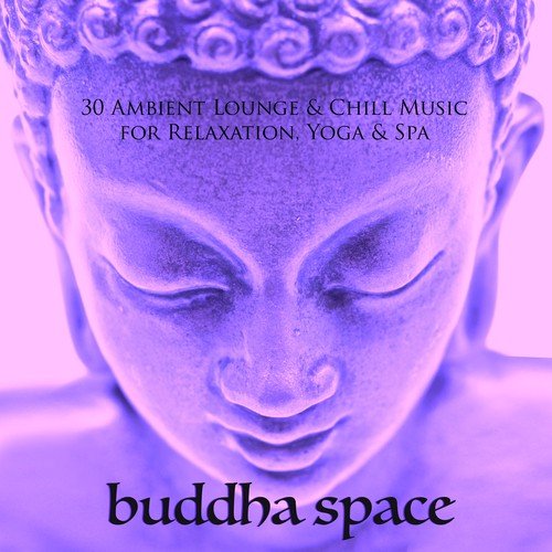 Buddha Space cover art