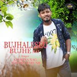 Bujhaleseu Bujhe Nai