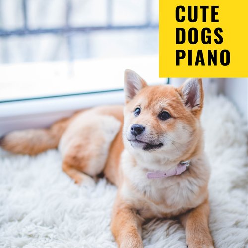 Music For Calming Dogs cover art