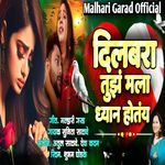 Dilbara Tuz Mala Dhyan Hotay