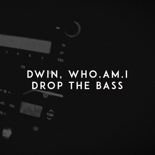 Drop the Bass_poster_image