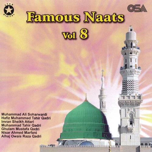 Famous Naats, Vol. 8