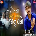 Garibana Nehaka Lagshe Janu Tane