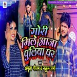 Gori Mile Aaja Puliya Par