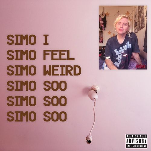 Fireworks (Scruffamudda Remix) cover art