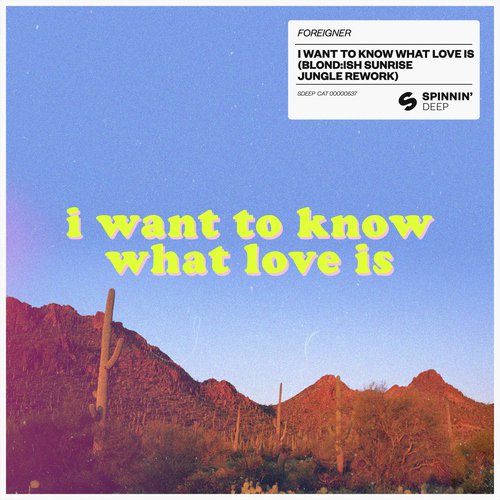 I Want To Know What Love Is (BLOND:ISH Sunrise Jungle Rework)