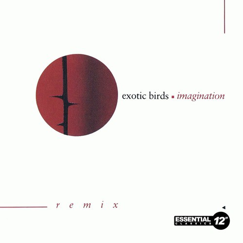 Imagination (Remix)