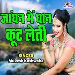 Janghan Mein Dhaan Koot Leti