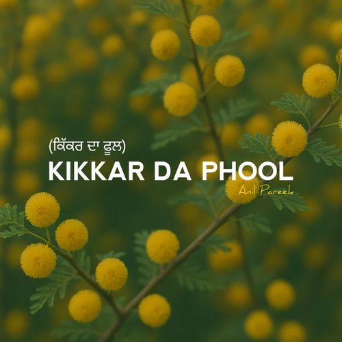 Kikkar Da Phool