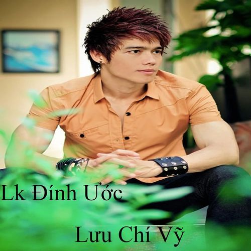 Lưu Chí Vỹ Nonstop cover art