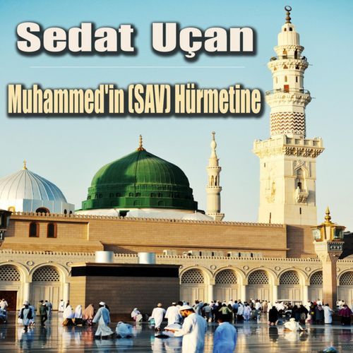 Uyan Arkadaşım cover art