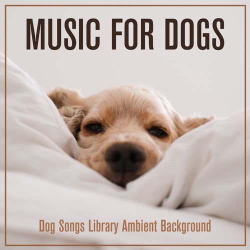 Lovely Sleep cover art