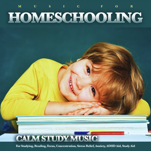 Music For Homeschooling: Calm Study Music For Studying, Reading, Focus, Concentration, Stress Relief, Anxiety, ADHD Aid, Study Aid_poster_image