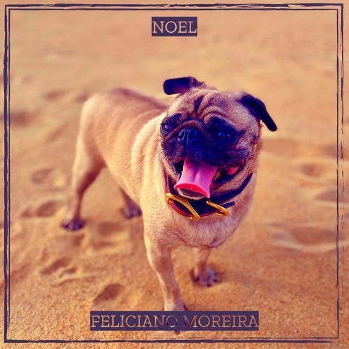 NOEL cover art