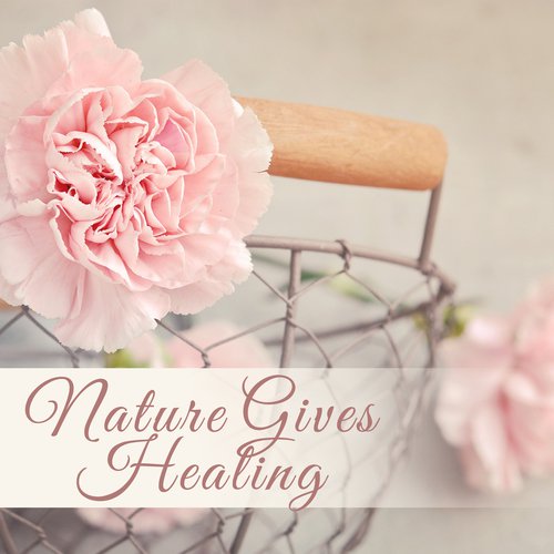 Ambient Nature Sounds cover art
