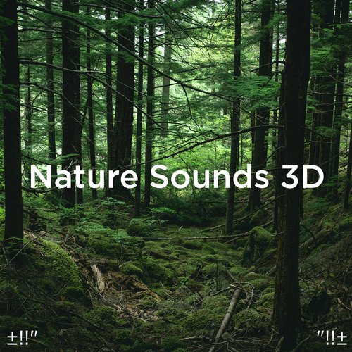 ±!!" Nature Sounds 3D "!!±_poster_image