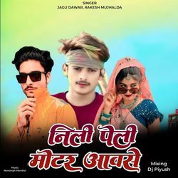 Nilee Pelee Motor Aavse