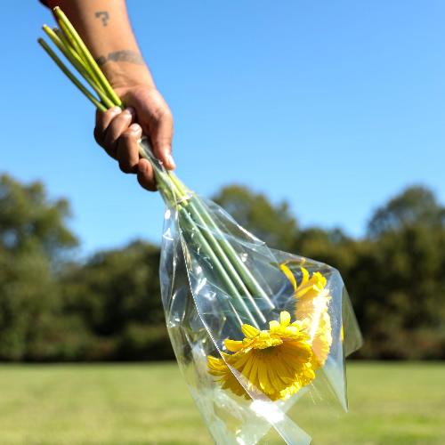 Robotostein Jr&#039;s Love Ballads