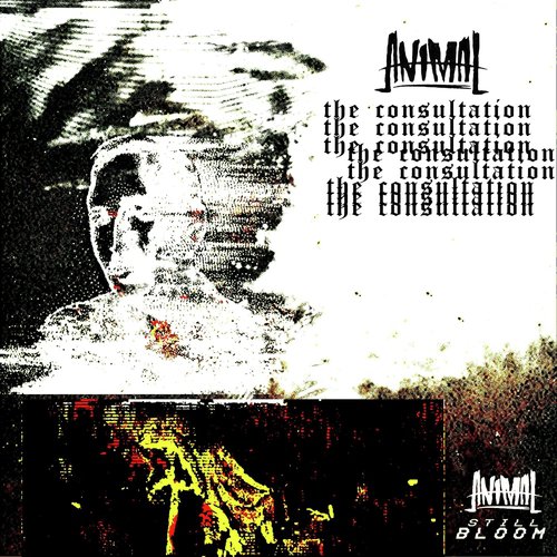 The Consultation (feat. Still_bloom)_poster_image