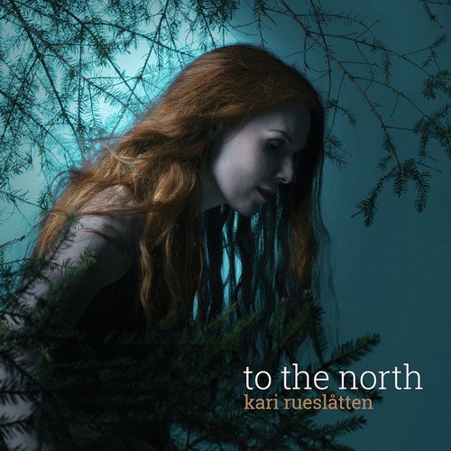 To the North_poster_image