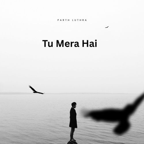 Tu Mera Hai