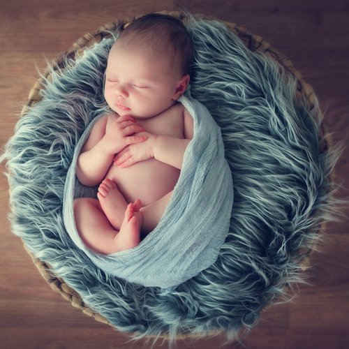 Çek Çek Kürekleri