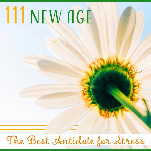 111 New Age (The Best Antidote for Stress – Music for Total Relaxation, Mindfulness Meditation, Deep Sleep, Peace & Harmony)
