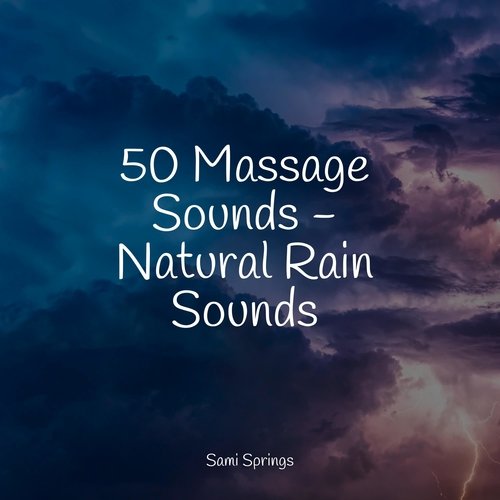 Rain, Storm and Thunder cover art