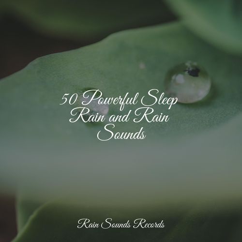 50 Powerful Sleep Rain and Rain Sounds_poster_image