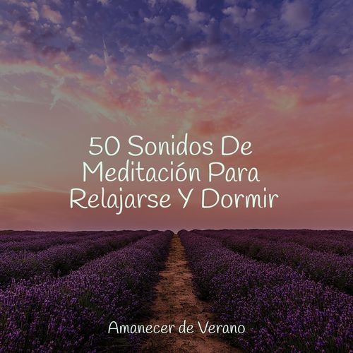 50 Sonidos De Meditación Para Relajarse Y Dormir