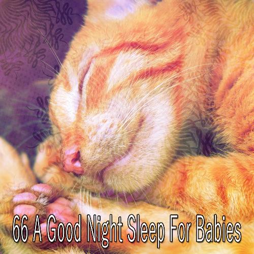 66 A Good Night Sleep for Babies