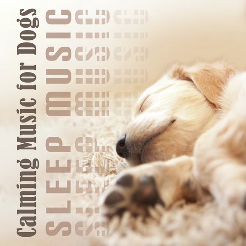 Calming for Pets cover art