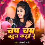 Chap Chap Badan Karahai Re