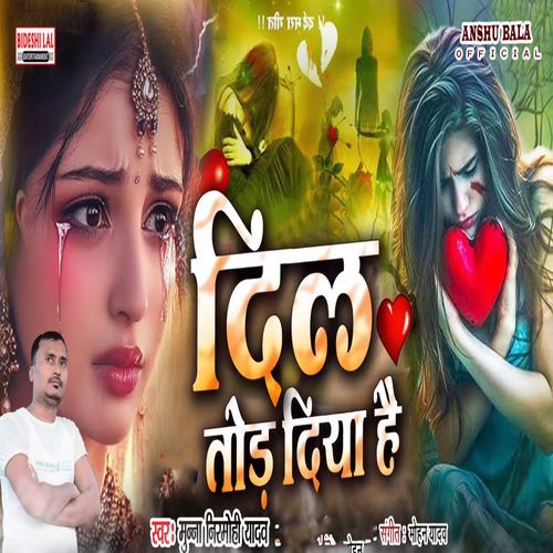 Dil Tod Diya Hai