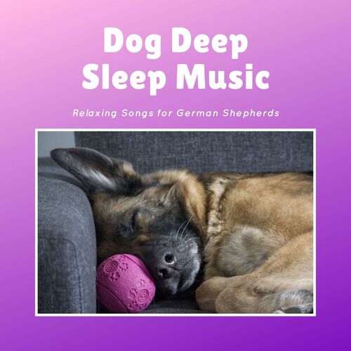 Bed Soundsleepers cover art